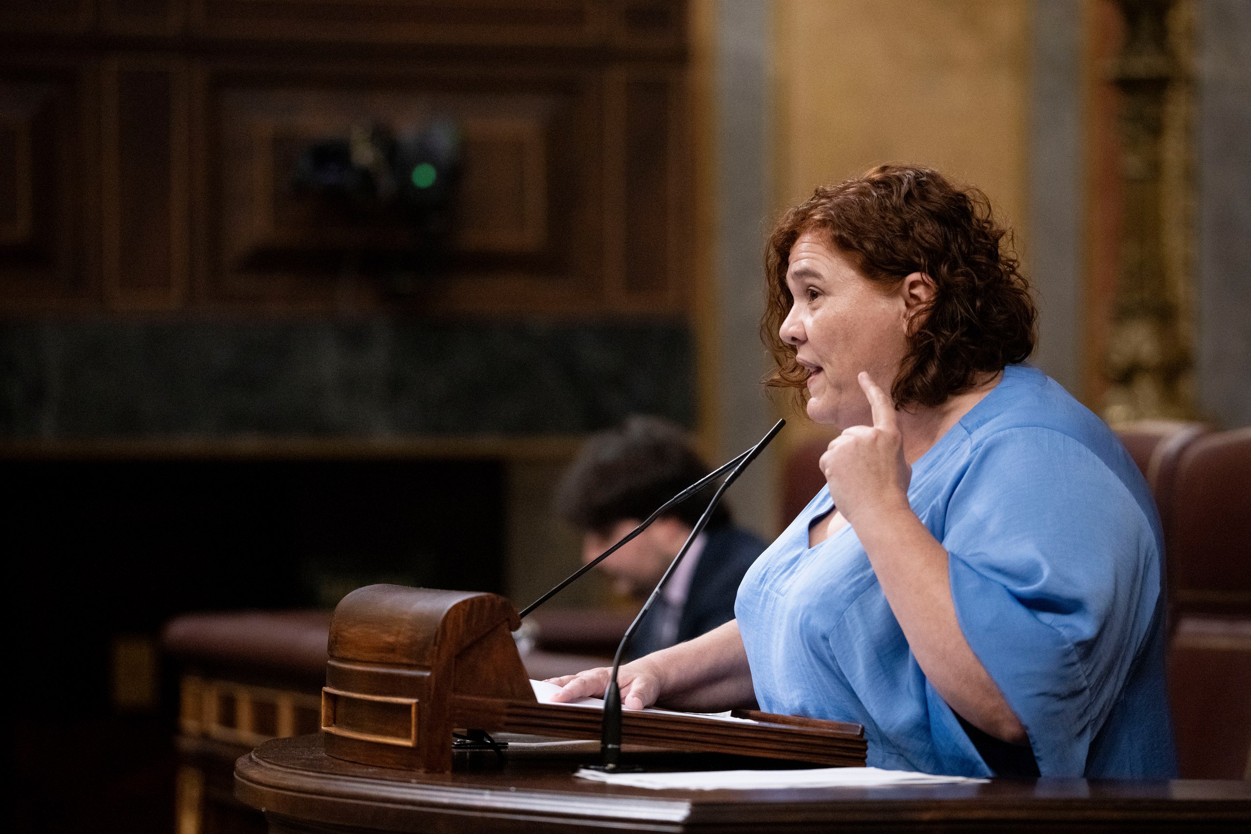 Engracia Rivera durante su intervención de hoy en el Pleno del Congreso