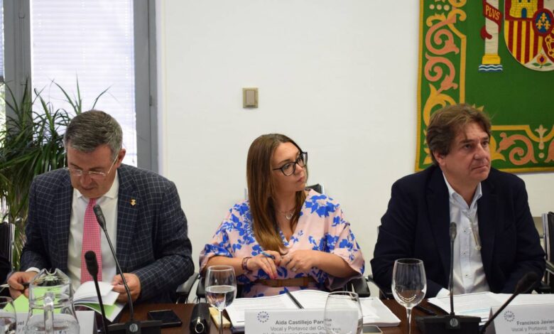 Aída Castillejo en un acto de la FEMP