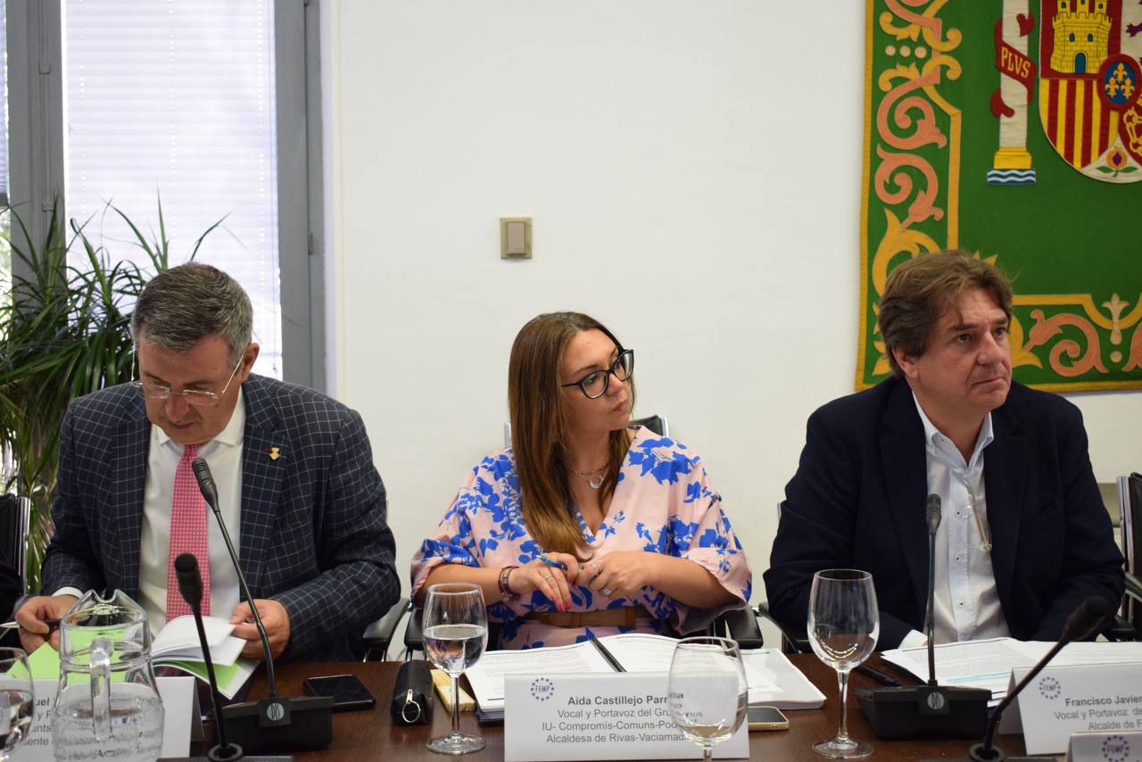 Aída Castillejo en un acto de la FEMP