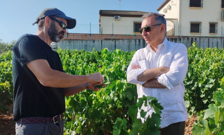 Enrique Santiago durante su visita de esta mañana a un viñedo de la localidad condobesa de Montilla para interesarse por la plaga del mildiu