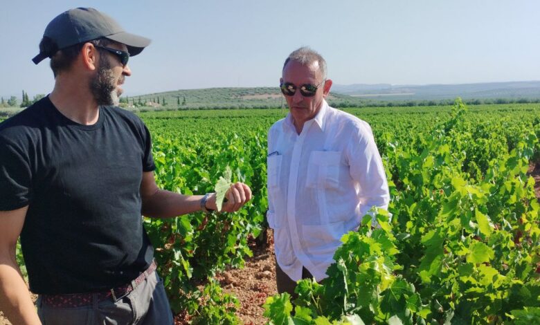 Enrique Santiago en un viñedo de Montilla